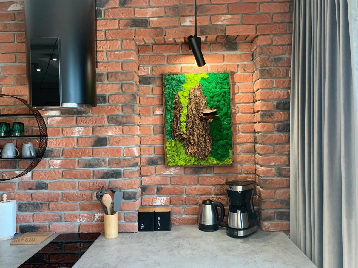 Marina Green Loft-Apartament Przy Promenadzie เอลก์ ภายนอก รูปภาพ